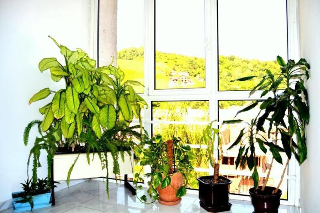 Motel New Sanatron Bosanski Novi Ngoại thất bức ảnh